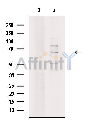 Валидация Affinity DF6409 - 17774