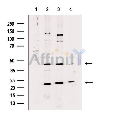 Валидация Affinity DF7892 - 19716