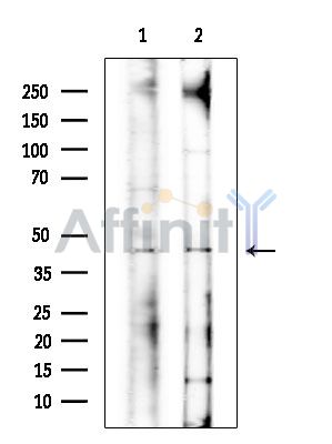 Валидация Affinity DF15742 - 12216