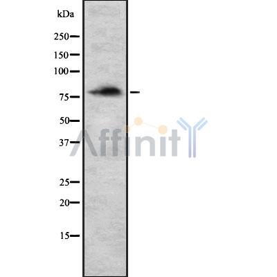 Валидация Affinity DF8676 - 20649