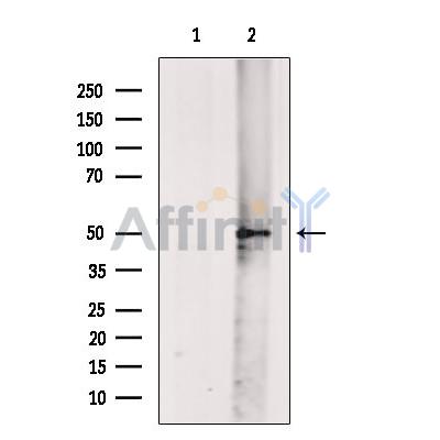 Валидация Affinity AF4013 - 2120
