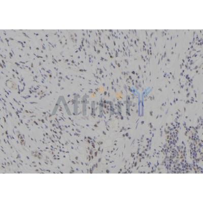 Валидация Affinity DF7026 - 18662