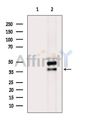 Валидация Affinity DF4505 - 16061