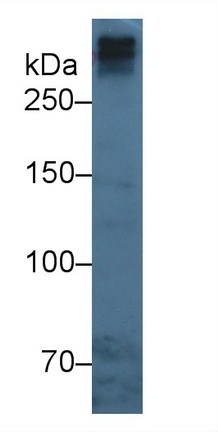10473