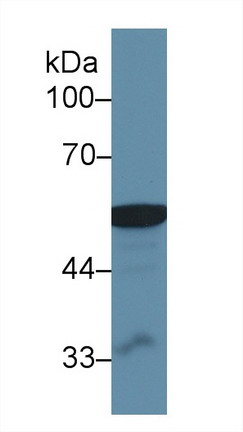 9615