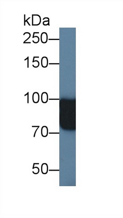 12484