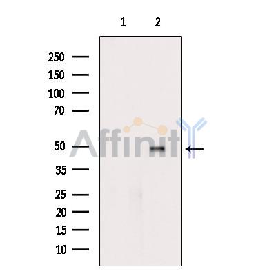 Валидация Affinity DF7103 - 18750