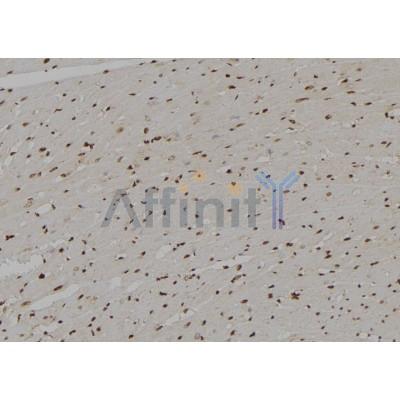 Валидация Affinity DF3769 - 14863