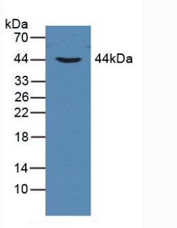59579