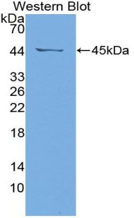 52940