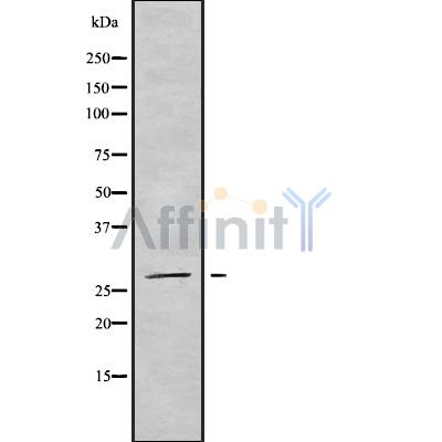 Валидация Affinity DF9475 - 22073