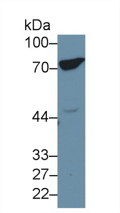 13344
