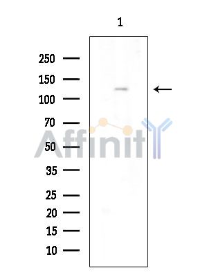 Валидация Affinity AF6283 - 3540