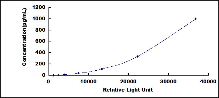 38406