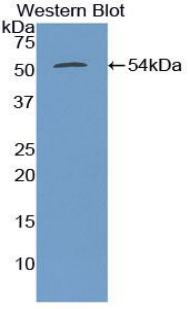 41489