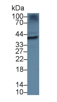 9137