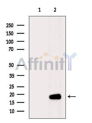 Валидация Affinity DF4730 - 16430