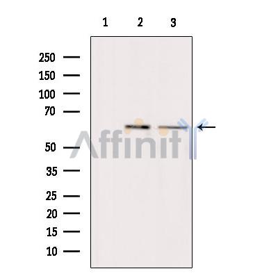 Валидация Affinity DF9228 - 21640