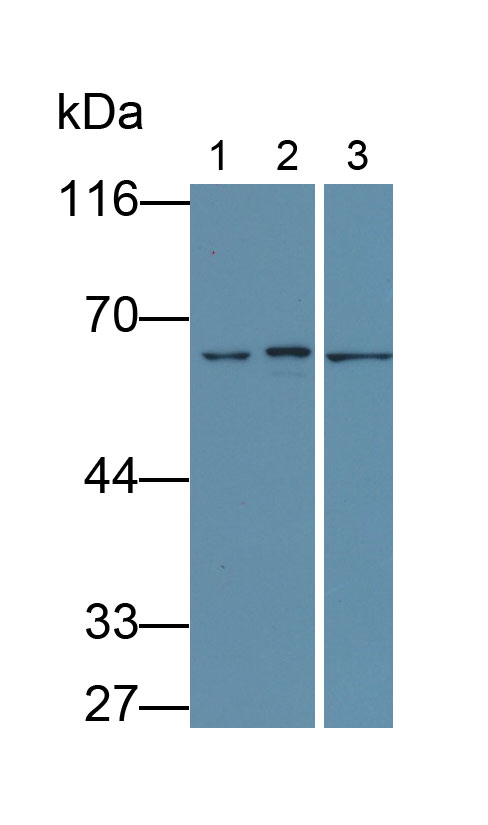 30618