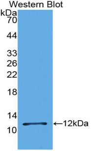 55414