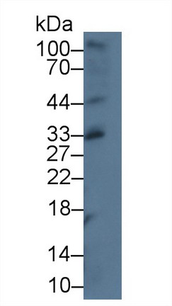 10132