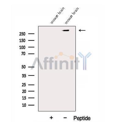 Валидация Affinity DF12946 - 7707
