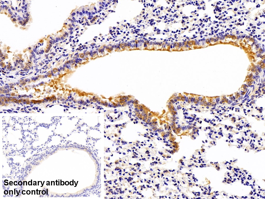 31134