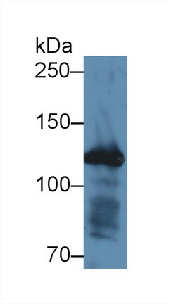 12422