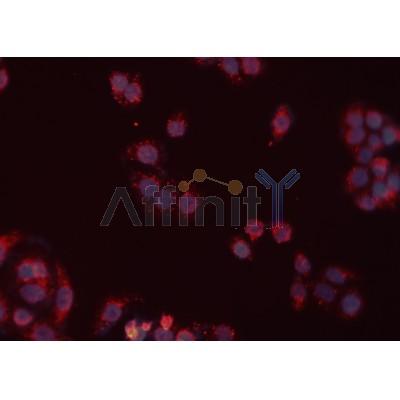 Валидация Affinity DF7175 - 18834