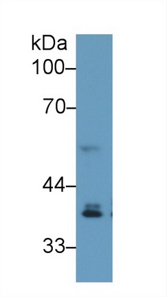 13199