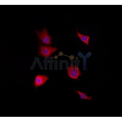 Валидация Affinity DF4404 - 15894