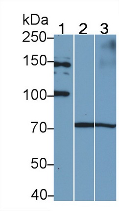 5011