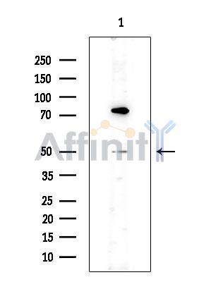 Валидация Affinity DF14061 - 9840