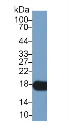 13673