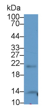 21387