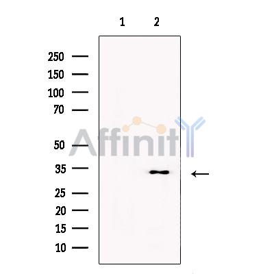 Валидация Affinity DF13507 - 8901