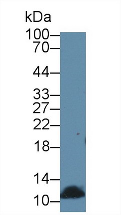 8966