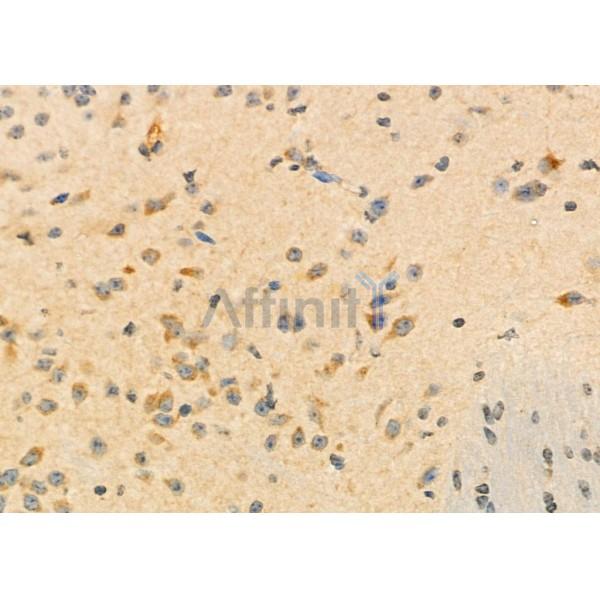 Валидация Affinity DF12352 - 6789