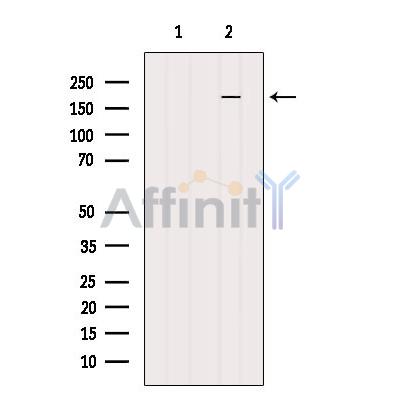 Валидация Affinity AF6046 - 3249