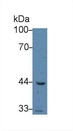 8952