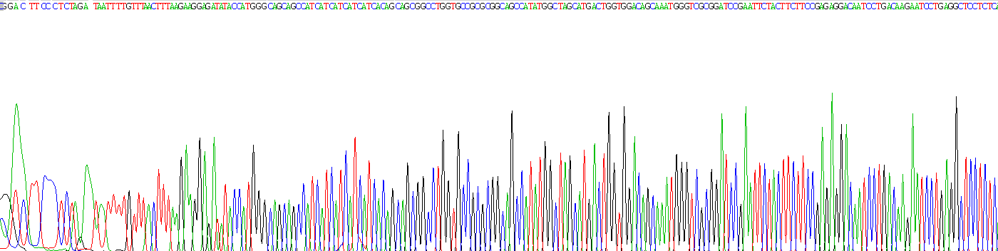 22411