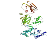 Zinc Finger Protein 790 (ZNF790)