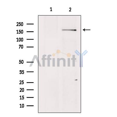 Валидация Affinity DF4911 - 16715