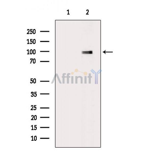 Валидация Affinity DF3390 - 14279