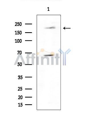 Валидация Affinity DF7407 - 19144