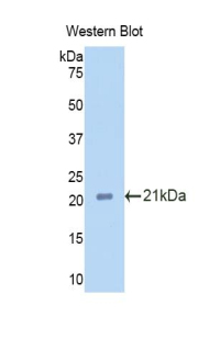 49358
