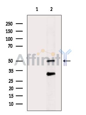 Валидация Affinity DF14596 - 10611