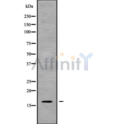 Валидация Affinity DF9422 - 21980