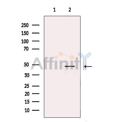 Валидация Affinity DF13627 - 9154