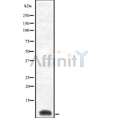 Валидация Affinity DF8924 - 21065